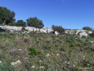 traro-30-12-2021 12-08-13